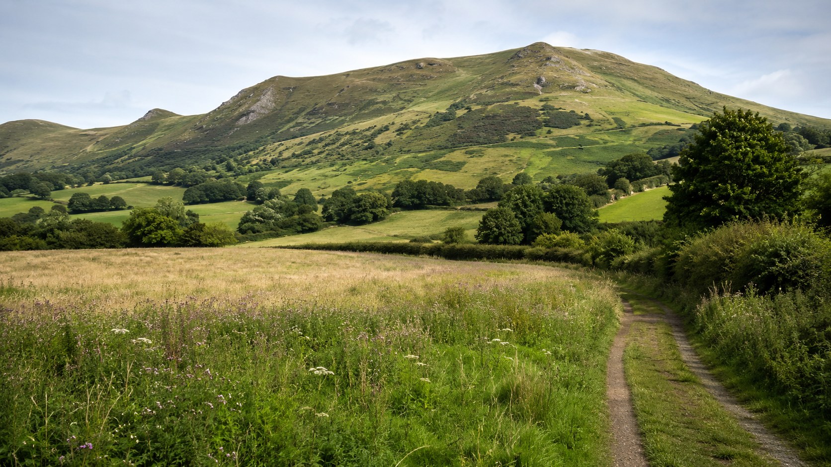 Landscape image of the surrounding fields and hills